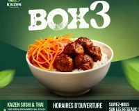 🍚 Box 3 – Donburi Boulettes Poulet